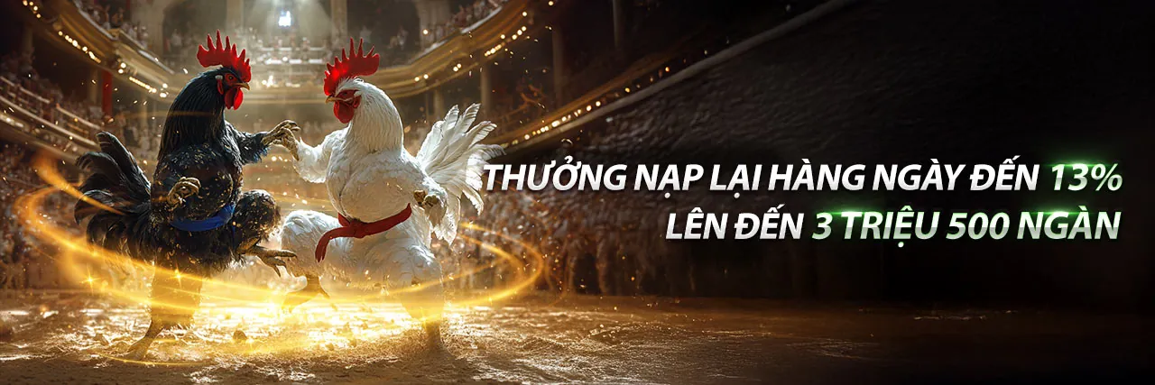 Đá Gà 90ok bet 2026